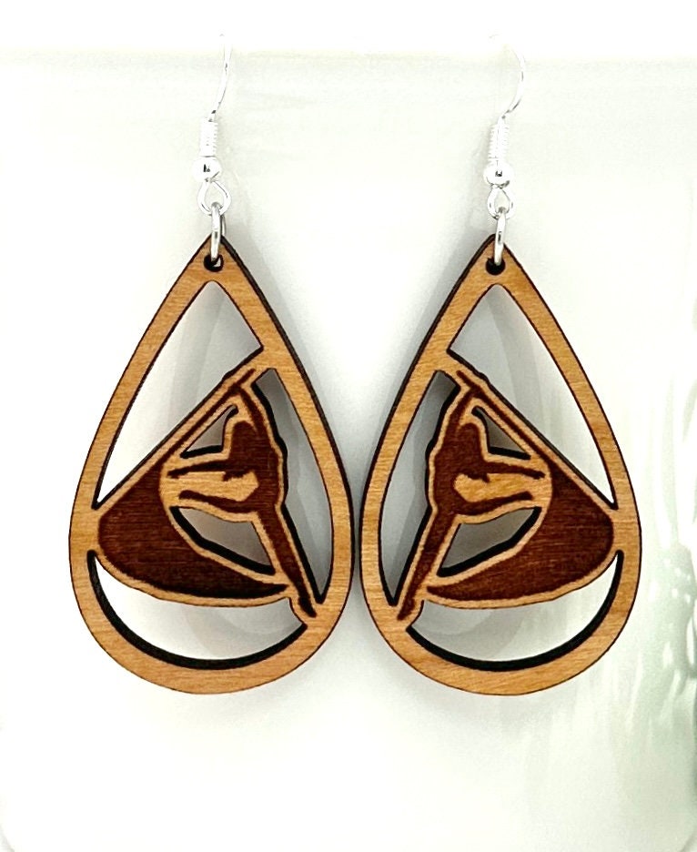 Color Guard Earrings Teardrop Shape